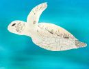Curtis Cluff St Liborius' Eaglehawk Year 5      Sea Turtle     Coloured Pencil, Greylead, Indian Ink, Lead Pencil