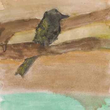 Sophia Mallari St Kilian's Bendigo Year 5      Yellow Honeyeater     Greylead, Paper, Watercolour