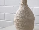 Remi Nicholas FCJ College Benalla Year 10      Contemporary Vessel     Ceramic