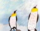 Kyden Colotti St Augustine's Wodonga Year 3      Penguin Care     Fine Liner, Marker, Paper, Watercolour      Penguins defend their egg at all costs. They huddle together in big groups to help each other and the babies know the caring voice of their paren