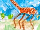 Maggie Honebone St Monica's Kangaroo Flat Year 1      Giraffe     Texta, Watercolour